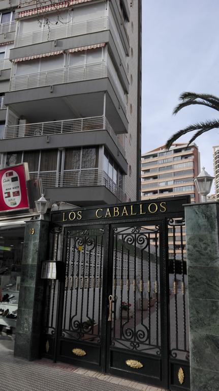 Apartamentos Los Caballos בנידורם מראה חיצוני תמונה